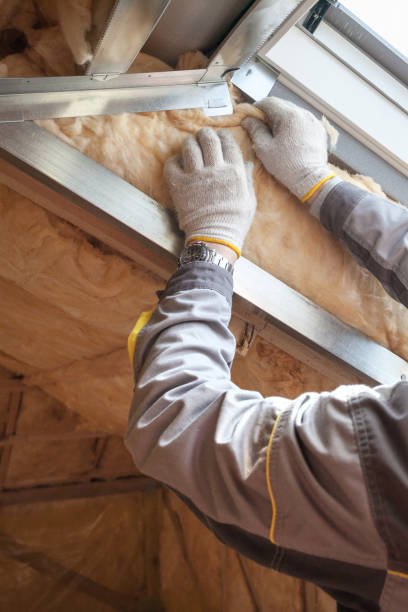 Best Residential Insulation in Friendswood, TX