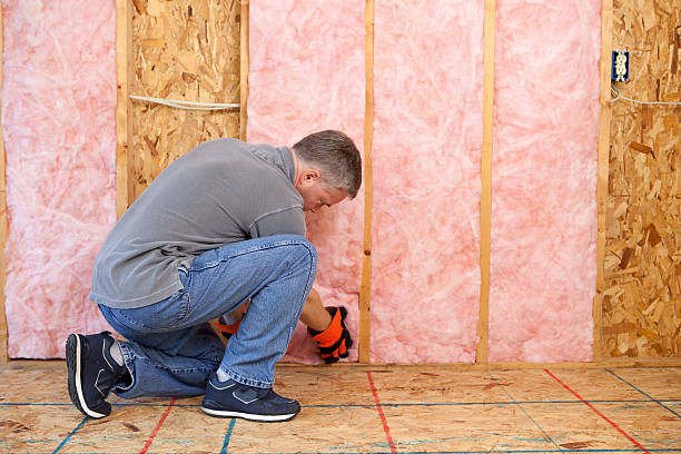 Best Eco-Friendly Insulation in Friendswood, TX