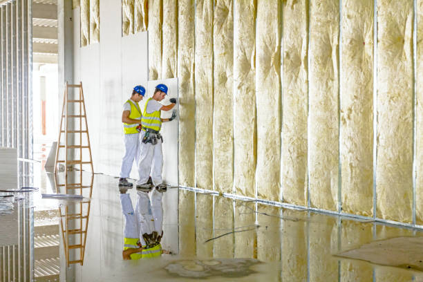 Types of Insulation We Offer in Friendswood, TX